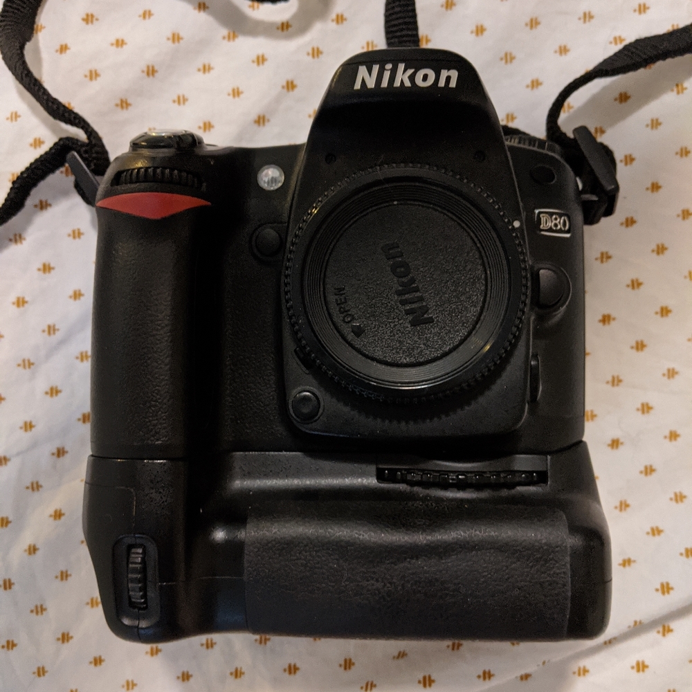 Nikon D80 camera with AF-S NIKKOR 24- 85mm lens